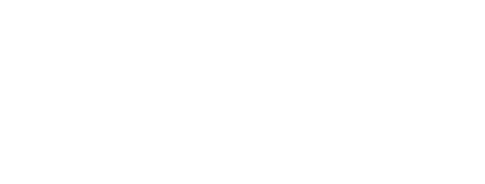 Network Secure - Logo